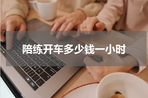 陪练开车多少钱一小时