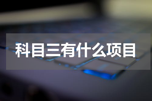 科目三有什么项目