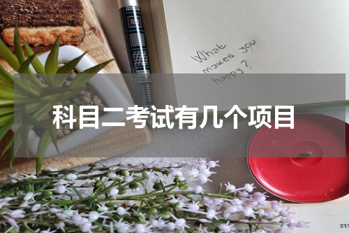 科目二考试有几个项目