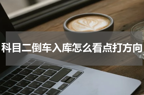 科目二倒车入库怎么看点打方向