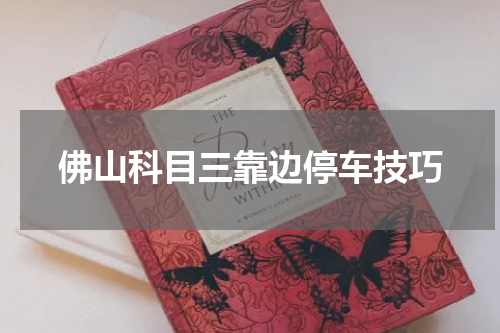 佛山科目三靠边停车技巧