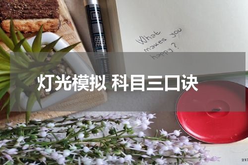 灯光模拟 科目三口诀