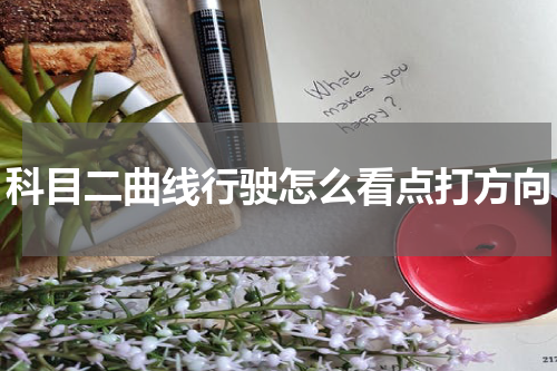 科目二曲线行驶怎么看点打方向