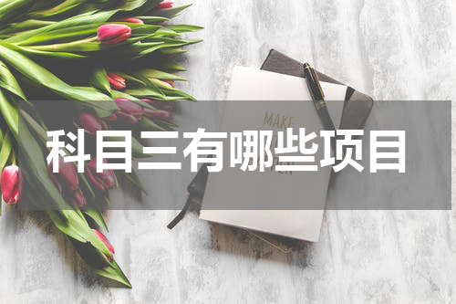 科目三有哪些项目