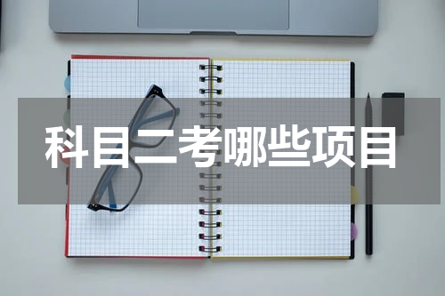 科目二考哪些项目