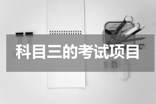 科目三的考试项目