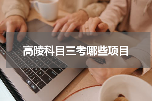 高陵科目三考哪些项目