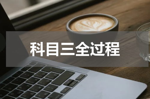 科目三全过程