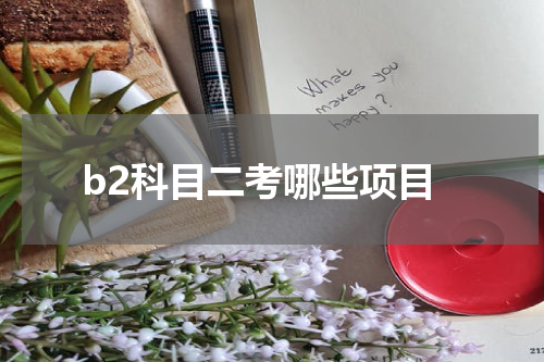 b2科目二考哪些项目