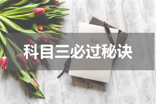 科目三必过秘诀