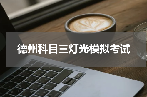 德州科目三灯光模拟考试