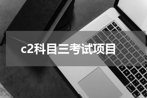 c2科目三考试项目
