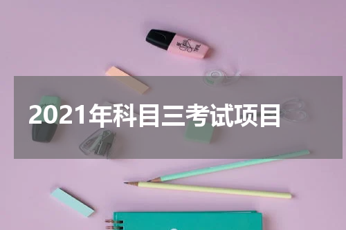 2021年科目三考试项目