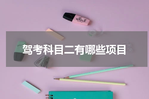 驾考科目二有哪些项目