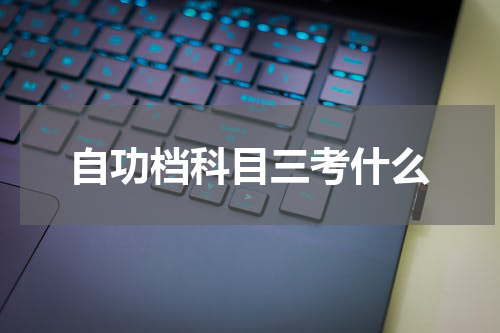 自功档科目三考什么