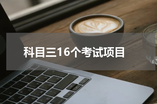 科目三16个考试项目