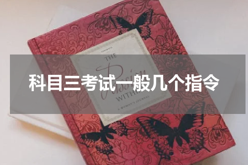 科目三考试一般几个指令