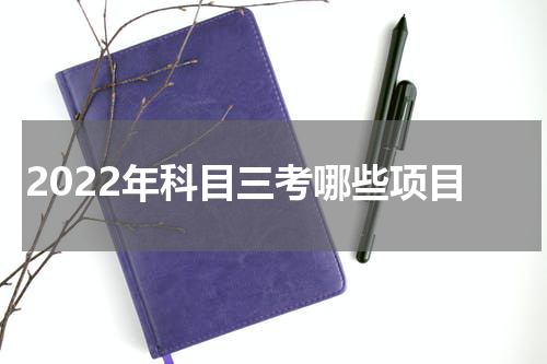 2022年科目三考哪些项目
