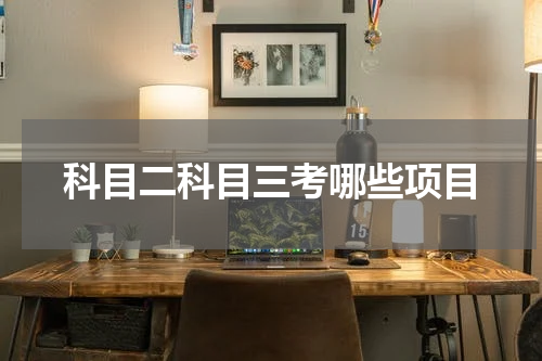 科目二科目三考哪些项目