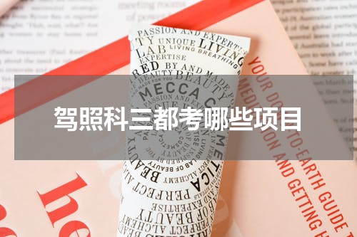 驾照科三都考哪些项目