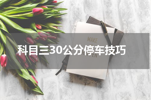 科目三30公分停车技巧