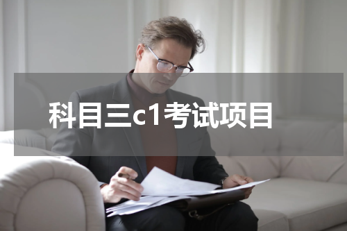 科目三c1考试项目
