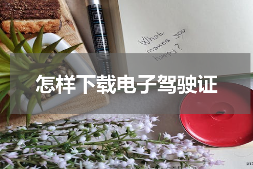 怎样下载电子驾驶证