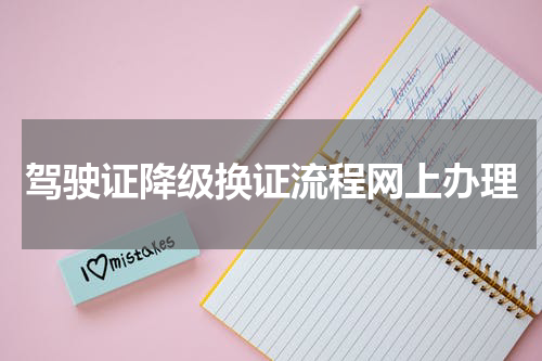 驾驶证降级换证流程网上办理