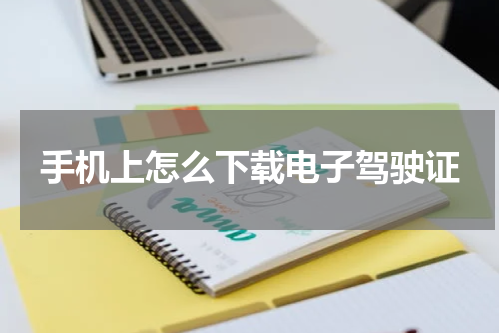 手机上怎么下载电子驾驶证