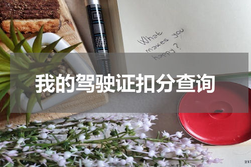 我的驾驶证扣分查询