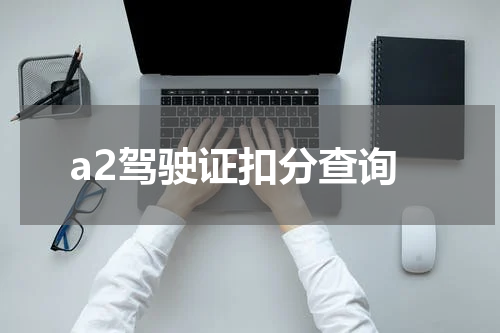 a2驾驶证扣分查询