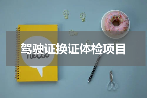 驾驶证换证体检项目