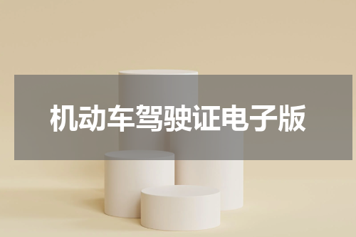 机动车驾驶证电子版