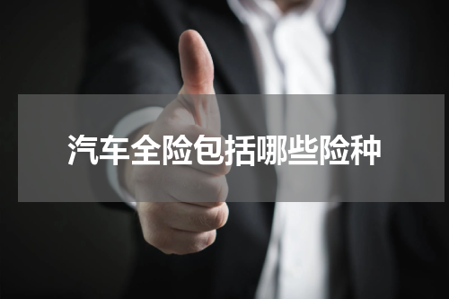 汽车全险包括哪些险种