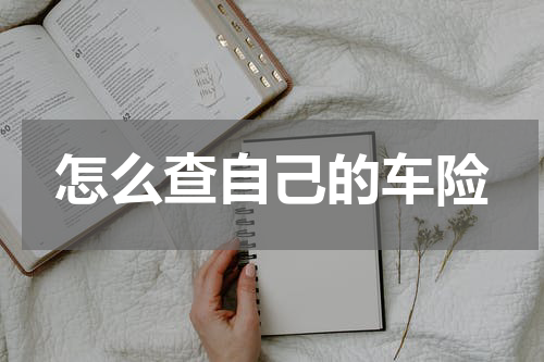 怎么查自己的车险