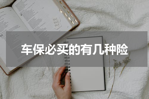 车保必买的有几种险
