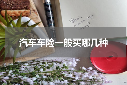 汽车车险一般买哪几种