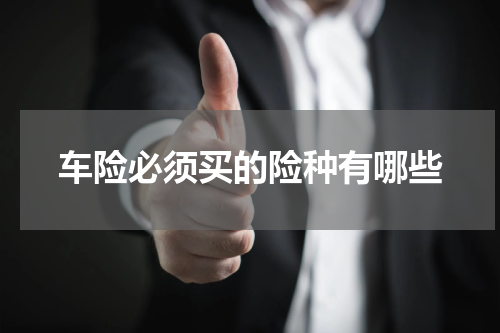 车险必须买的险种有哪些