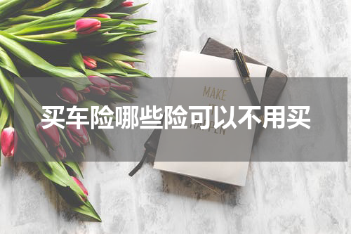 买车险哪些险可以不用买