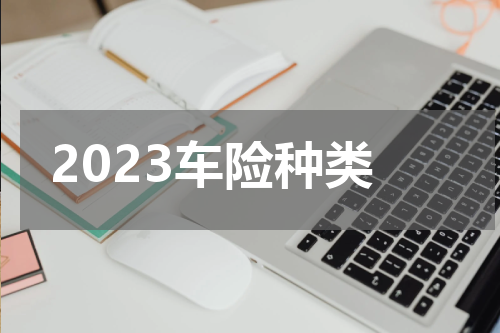 2023车险种类