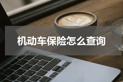 机动车保险怎么查询