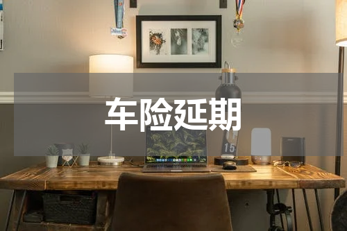 车险延期
