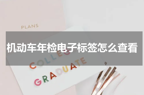 机动车年检电子标签怎么查看
