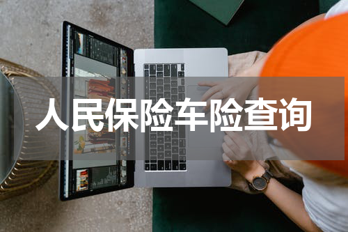 人民保险车险查询