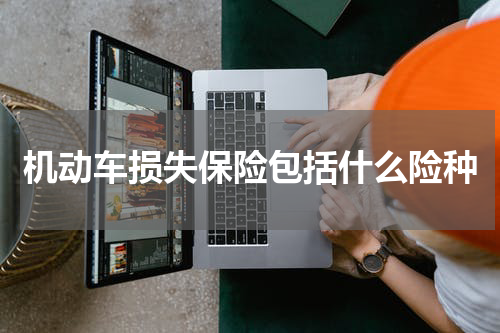 机动车损失保险包括什么险种