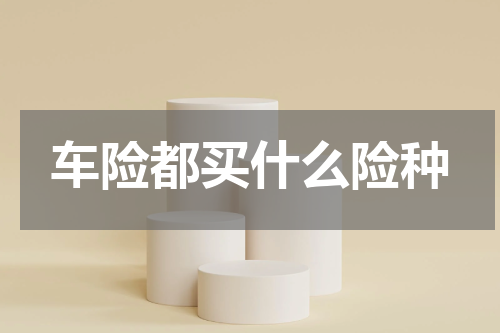 车险都买什么险种