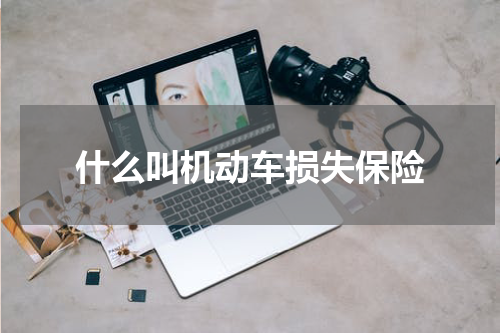 什么叫机动车损失保险