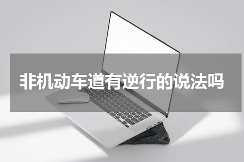 非机动车道有逆行的说法吗