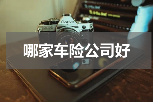 哪家车险公司好