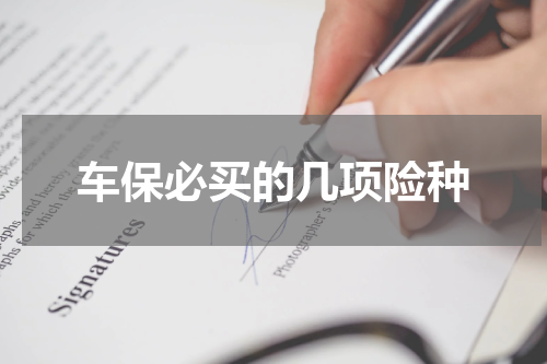 车保必买的几项险种